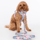 Bow Tie - Colour Drops - Spring Dreams - Bailey and Coco (UK)