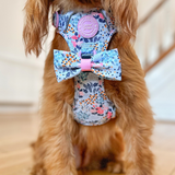 Bow Tie - Colour Drops - Spring Dreams - Bailey and Coco (UK)