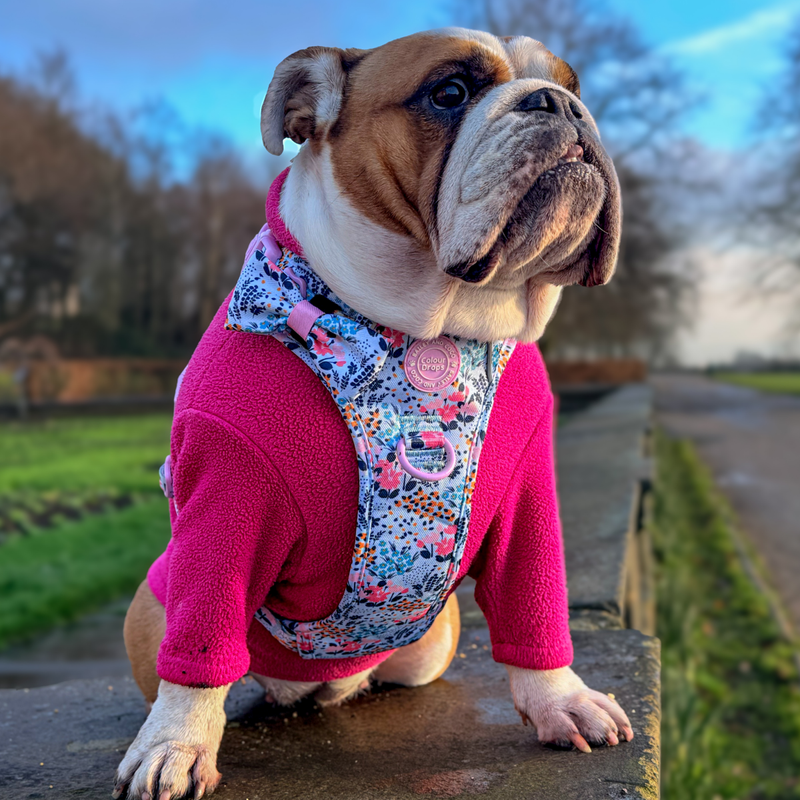 Bow Tie - Colour Drops - Spring Dreams - Bailey and Coco (UK)