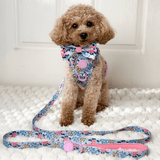 Bow Tie - Colour Drops - Spring Dreams - Bailey and Coco (UK)