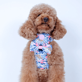 Bow Tie - Colour Drops - Spring Dreams - Bailey and Coco (UK)