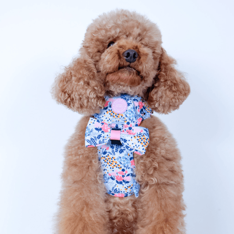 Bow Tie - Colour Drops - Spring Dreams - Bailey and Coco (UK)