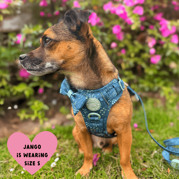 Bow Tie - COLOUR DROPS® -  Touch Grass - alternate view