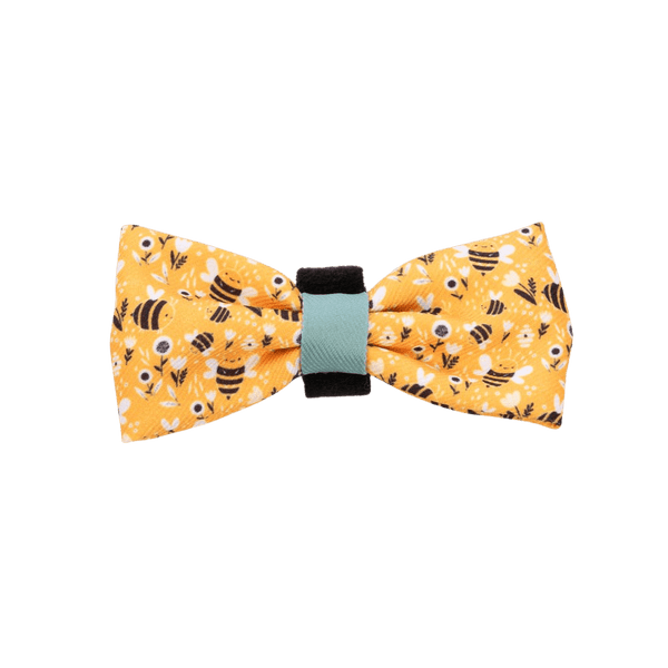 Bow Tie - Colour Drops - Wanna - Bee - Bailey and Coco (UK)
