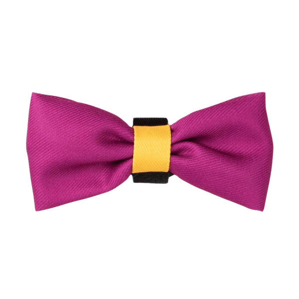 Bow Tie - COLOUR DROPS® - We're Jammin' - Bailey and Coco (UK)