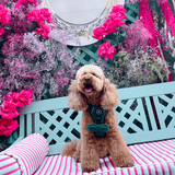 Bow Tie - Emerald Teddy - Bailey and Coco (UK)