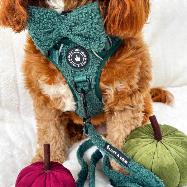 Bow Tie - Emerald Teddy - alternate view