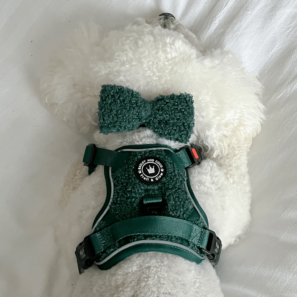 Bow Tie - Emerald Teddy - Bailey and Coco (UK)