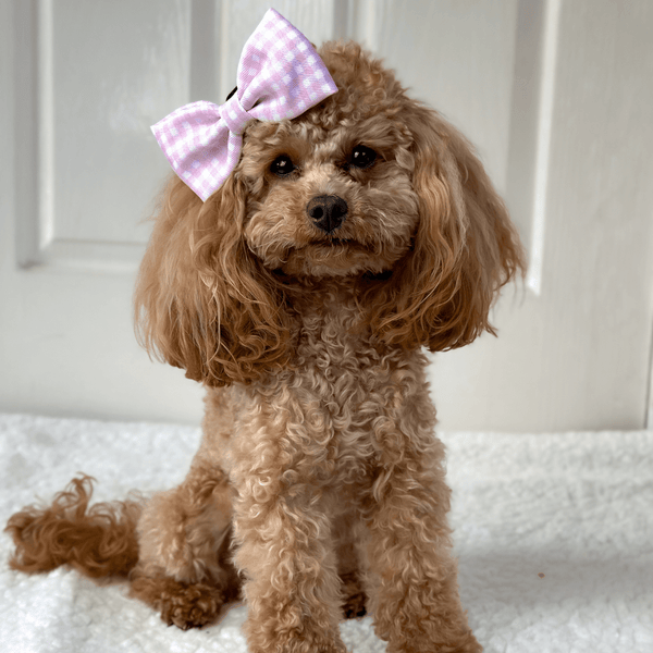 Bow Tie - Gingham Dreams - alternate view