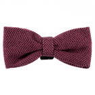 Bow Tie
