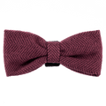 Bow Tie