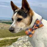 Bow Tie - Rustic Tartan - Bailey and Coco (UK)