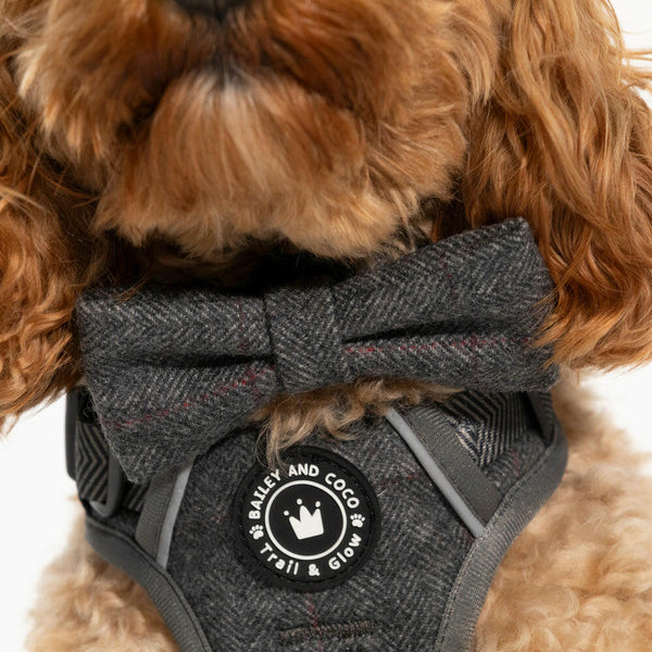 Bow Tie - Slate Tweed - alternate view