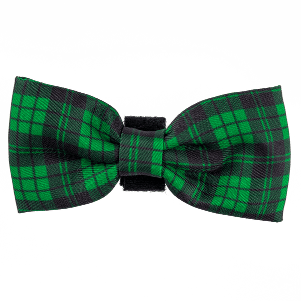 Bow Tie - Tartan Green - Bailey and Coco (UK)