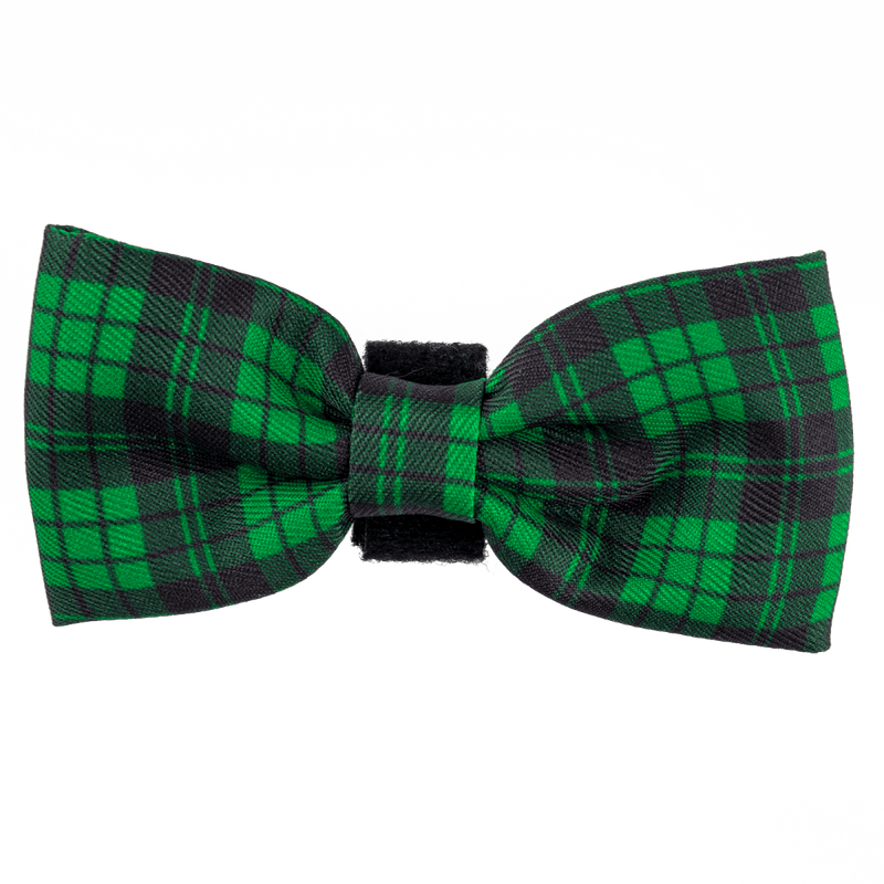 Bow Tie - Tartan Green - Bailey and Coco (UK)
