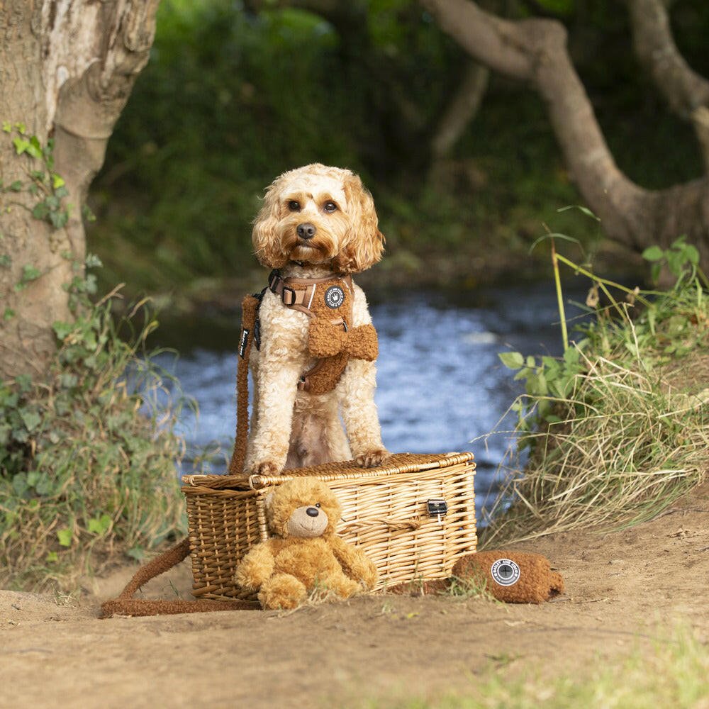Bow Tie - Teddy Bear - Bailey and Coco (UK)