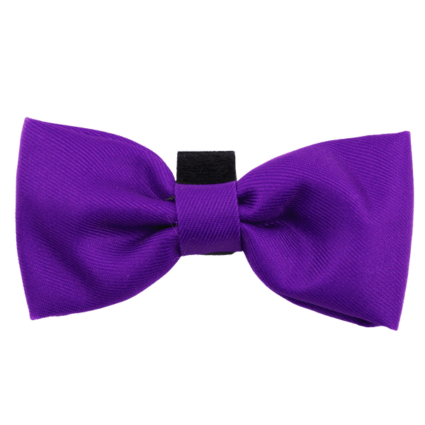 Bow Tie - The Royal Purple One - Bailey and Coco (UK)