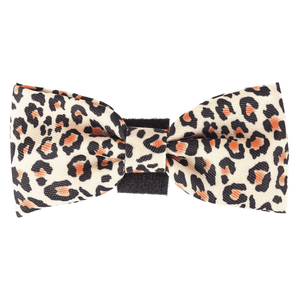 Bow Tie - Wild One - Bailey and Coco (UK)