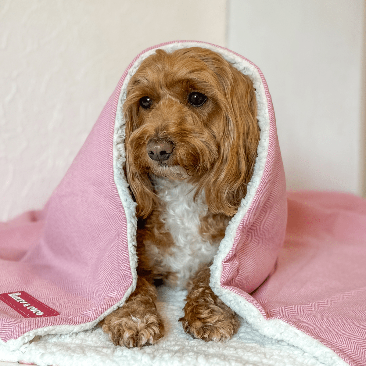 Bubblegum Pink Tweed Dog Blanket - Soft Sherpa Lined - Bailey and Coco (UK)