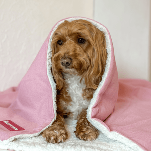 Bubblegum Pink Tweed Dog Blanket - Soft Sherpa Lined - Bailey and Coco (UK)