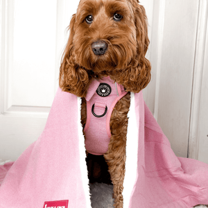 Bubblegum Pink Tweed Dog Blanket - Soft Sherpa Lined - Bailey and Coco (UK)