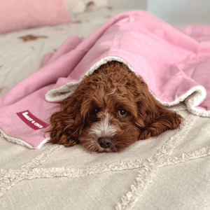 Bubblegum Pink Tweed Dog Blanket - Soft Sherpa Lined - Bailey and Coco (UK)