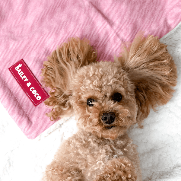 Bubblegum Pink Tweed Dog Blanket - Soft Sherpa Lined - Bailey and Coco (UK)