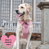Bubblegum Pink Tweed Dog Harness - No Pull & Reflective | Trail & Glow® - Bailey and Coco (UK)