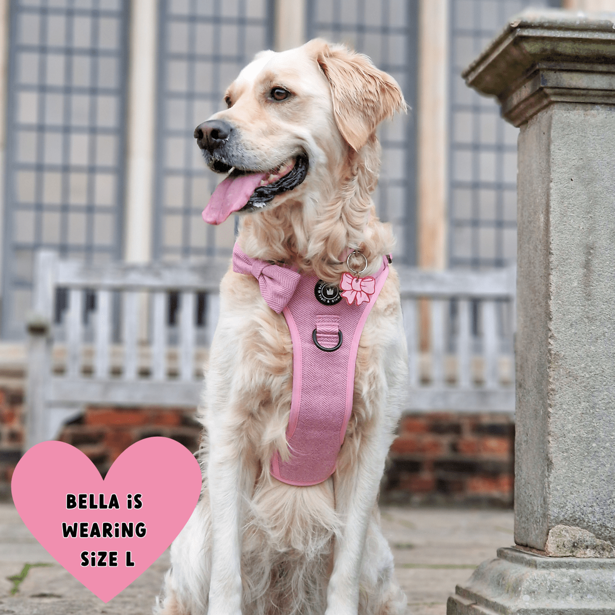 Bubblegum Pink Tweed Dog Harness No Pull Bailey and Coco
