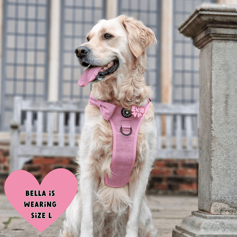 Bubblegum Pink Tweed Dog Harness - No Pull & Reflective | Trail & Glow® - Bailey and Coco (UK)