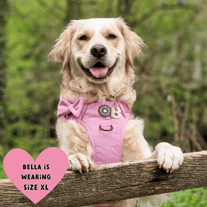 golden retriever harness size