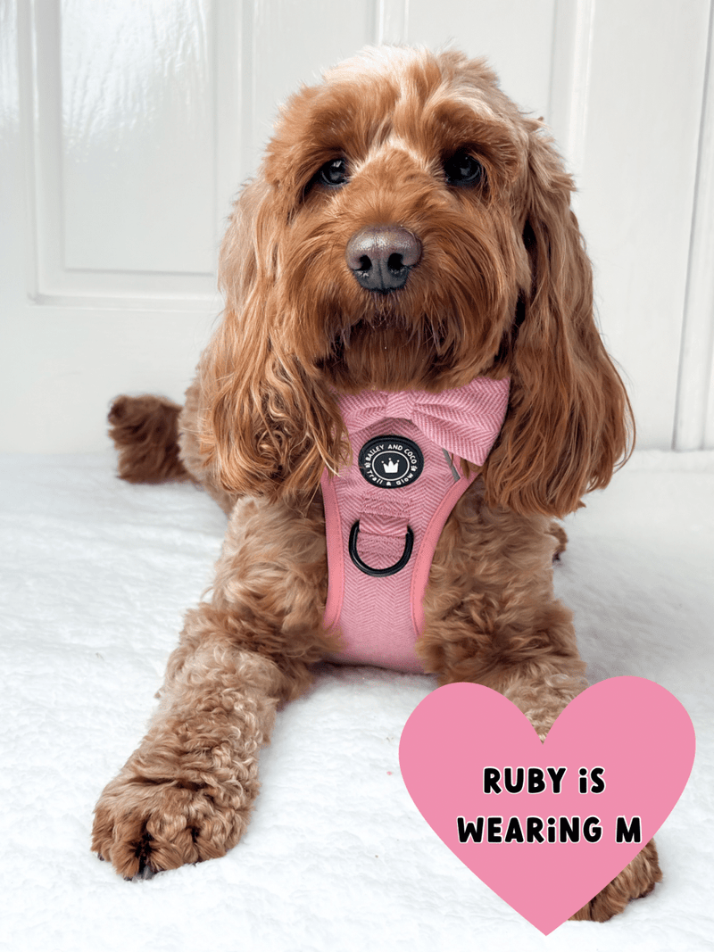 Bubblegum Tweed Adjustable Dog Harness, Lead, Collar & Dog Walking Bag Bundle - Bailey and Coco (UK)