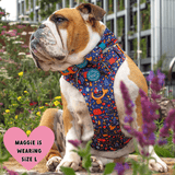 Bulldog wearing Bailey & Coco Colour Drops Bewitched dog harness and matching bow tie bundle in size large sitting among colourful flowers in a UK city garden