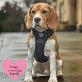 Charcoal Tweed Adjustable Dog Harness, Lead, Collar & Dog Walking Bag Bundle - Bailey and Coco (UK)