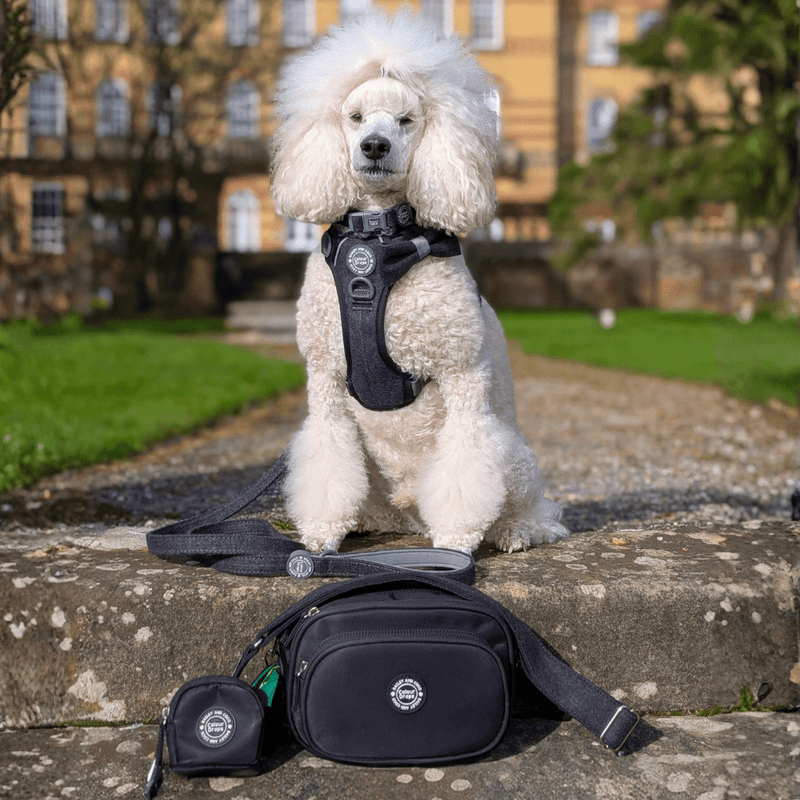 Charcoal Tweed Adjustable Dog Harness, Lead, Collar & Dog Walking Bag Bundle - Bailey and Coco (UK)