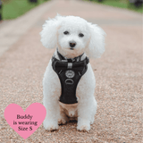 Charcoal Tweed Adjustable Dog Harness, Lead, Collar & Dog Walking Bag Bundle - Bailey and Coco (UK)