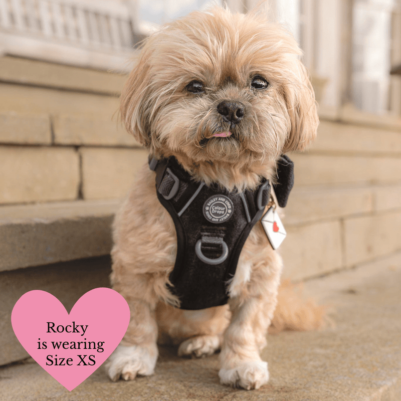 Charcoal Tweed Adjustable Dog Harness, Lead, Collar & Dog Walking Bag Bundle - Bailey and Coco (UK)