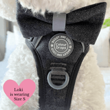 Charcoal Tweed Adjustable Dog Harness, Lead, Collar & Latte Dog Walking Bag Bundle - Bailey and Coco (UK)
