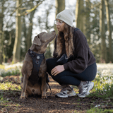 Charcoal Tweed Adjustable Dog Harness, Lead, Collar & Latte Dog Walking Bag Bundle - Bailey and Coco (UK)