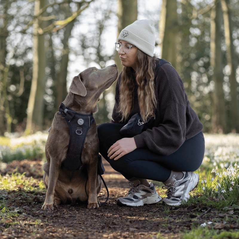 Charcoal Tweed Adjustable Dog Harness, Lead, Collar & Latte Dog Walking Bag Bundle - Bailey and Coco (UK)