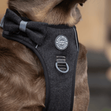 Charcoal Tweed Adjustable Dog Harness, Lead, Collar & Latte Dog Walking Bag Bundle - Bailey and Coco (UK)
