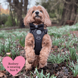 Charcoal Tweed Adjustable Dog Harness, Lead, Collar & Latte Dog Walking Bag Bundle - Bailey and Coco (UK)