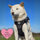 Charcoal Tweed Adjustable Dog Harness, Lead, Collar & Latte Dog Walking Bag Bundle - Bailey and Coco (UK)