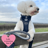 Charcoal Tweed Adjustable Dog Harness, Lead, Collar & Latte Dog Walking Bag Bundle - Bailey and Coco (UK)