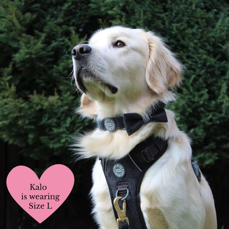 Charcoal Tweed Adjustable Dog Harness, Lead, Collar & Latte Dog Walking Bag Bundle - Bailey and Coco (UK)