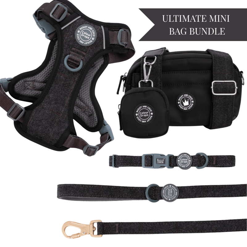 Charcoal Tweed - Colour Drops - Adjustable Dog Harness, Lead, Collar & Mini Black Dog Walking Bag Bundle - Bailey and Coco (UK)
