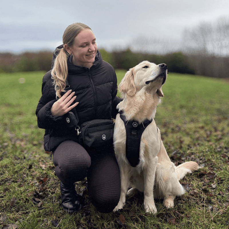 Charcoal Tweed - Colour Drops - Adjustable Dog Harness, Lead, Collar & Mini Black Dog Walking Bag Bundle - Bailey and Coco (UK)