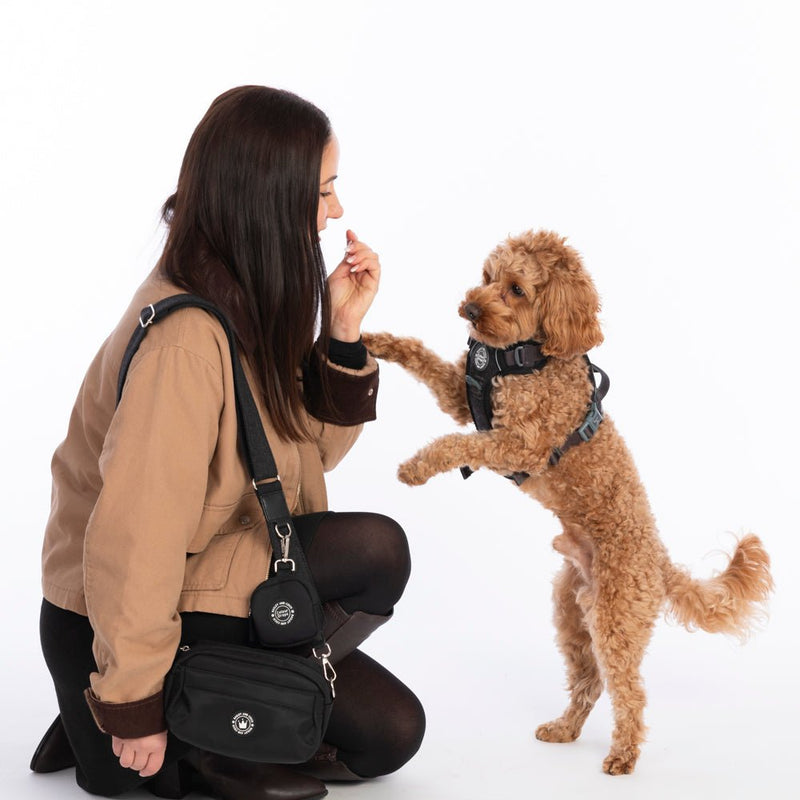 Charcoal Tweed Strap for Dog Walking Bag - Bailey and Coco (UK)