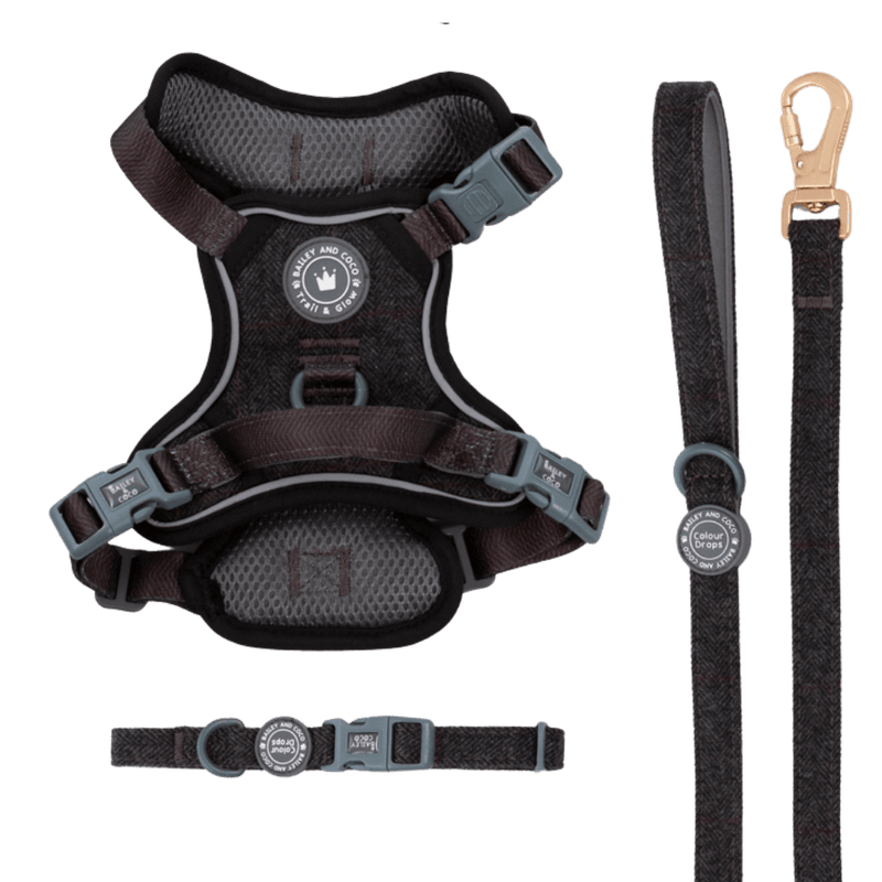 Charcoal Tweed Trail & Glow Dog Harness, Lead & Collar Bundle - Bailey and Coco (UK)