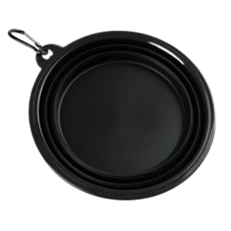 Collapsible Dog Water Bowl - Black - Bailey and Coco (UK)
